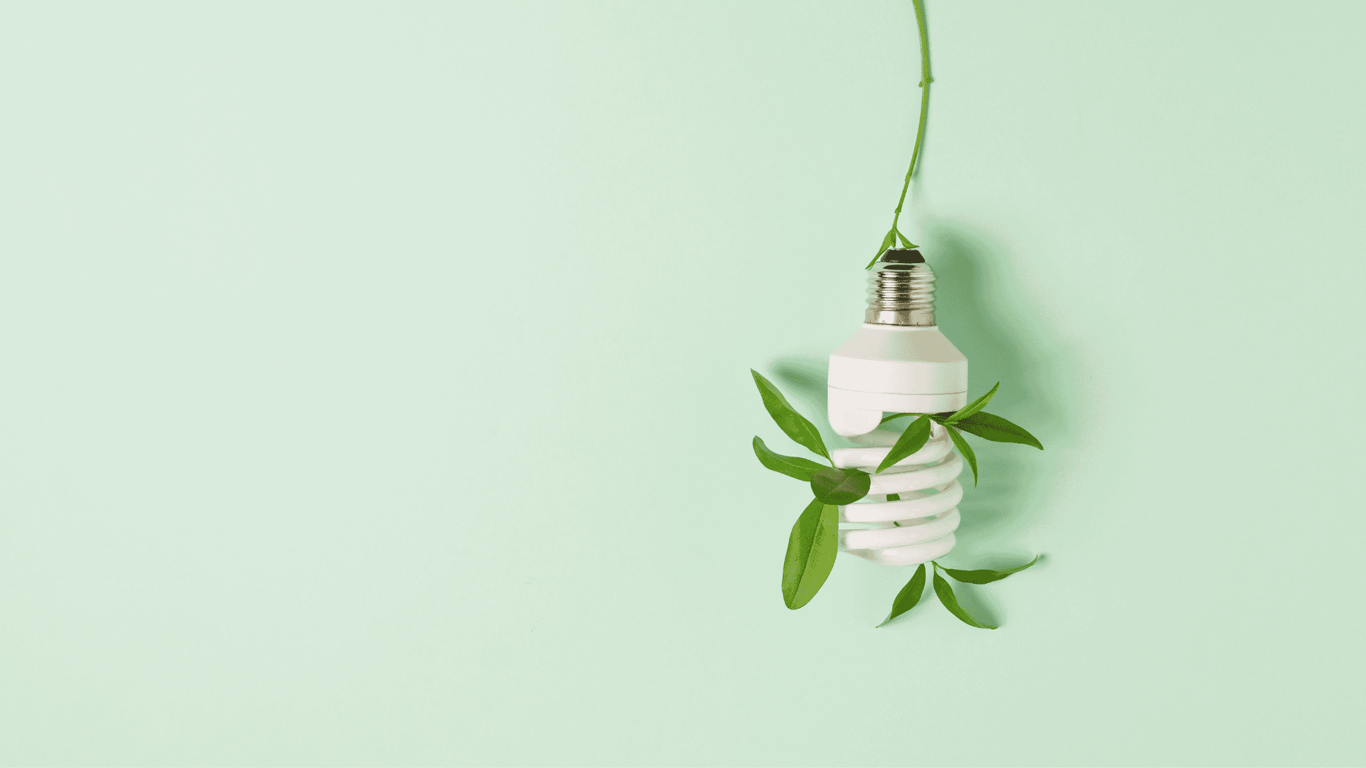 Sustainability in asset management practices